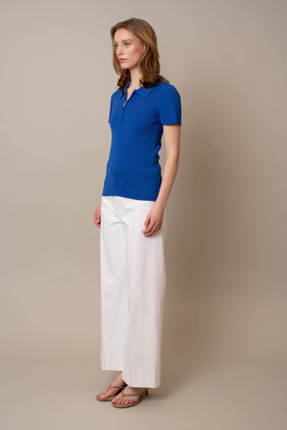 Model is wearing the Quarter Zip Short Sleeve Polo by Cyrus in Dazzling Blue