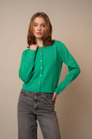 Model is wearing the Crew Neck Button Down Cardigan by Cyrus in Simply Green