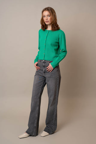 Model is wearing the Crew Neck Button Down Cardigan by Cyrus in Simply Green