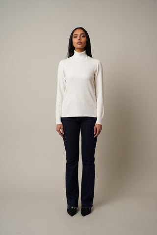 Turtle Neck Ribbed Pullover