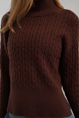 The Textured Turtleneck Sweater