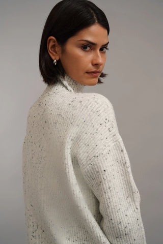 The Flecked Rib Turtleneck Sweater