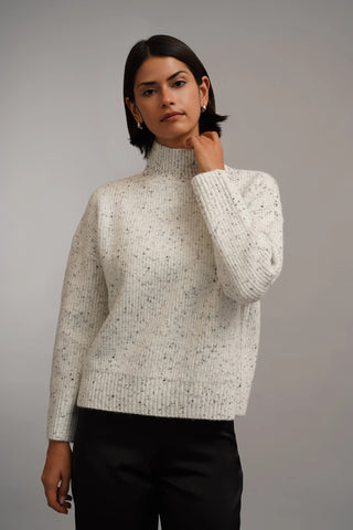 The Flecked Rib Turtleneck Sweater