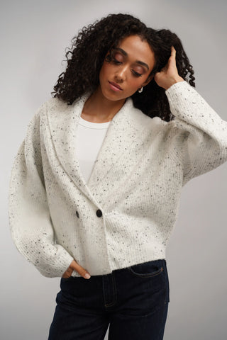 The Speckled Shawl Cardigan
